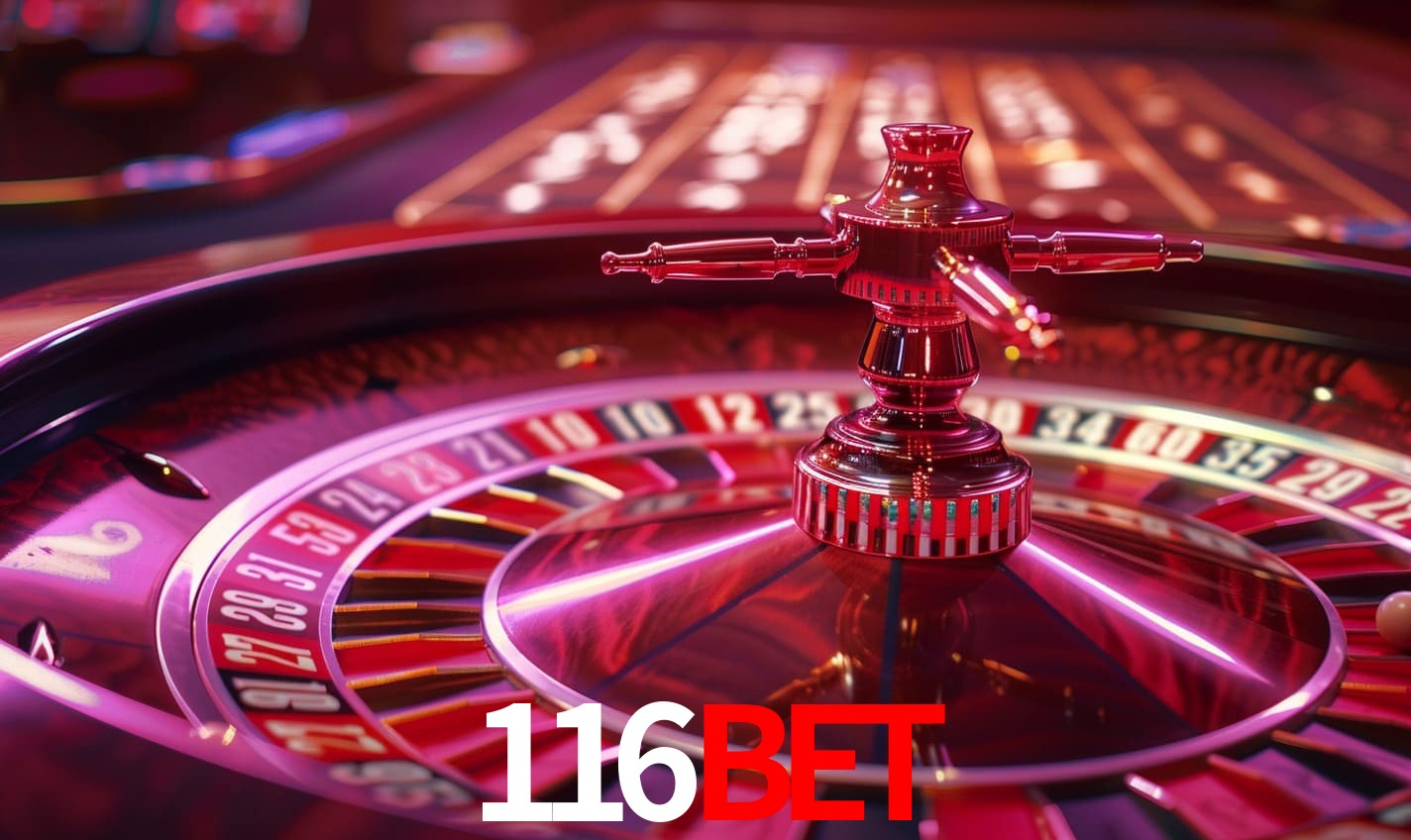 116bet Download Oficial